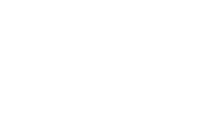 The Crowbar