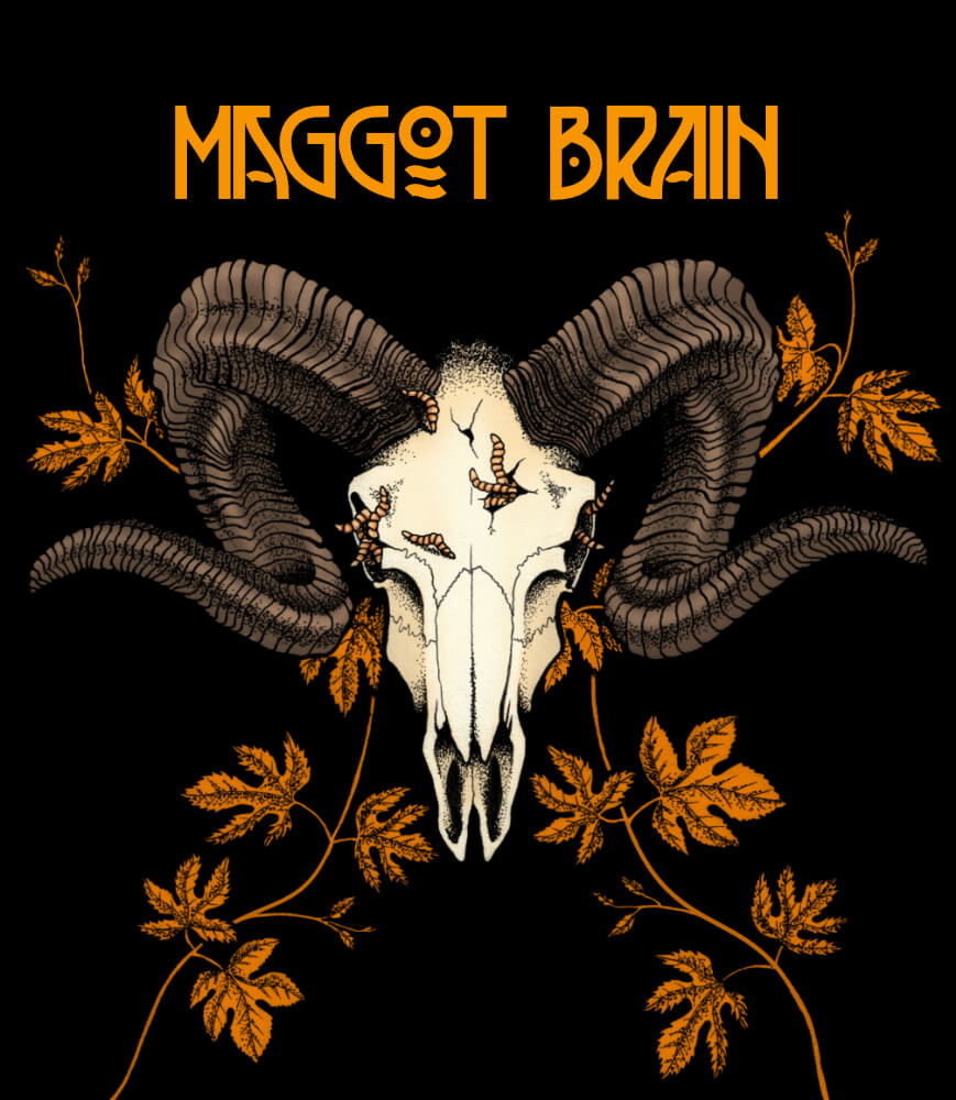maggots in brain